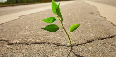 Photo small nadzieja jpg