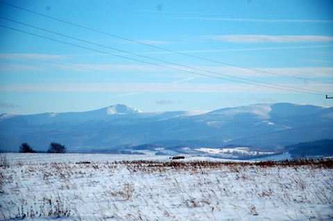 Photo medium dsc 0107