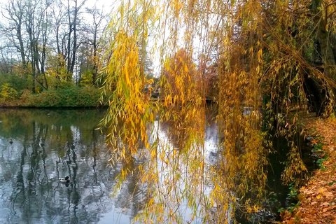Photo medium 020
