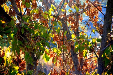 Photo medium img 0491