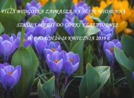 Photo small tapetus pl