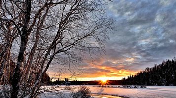 Photo small foto pixabay rect 50330a5af58bfde3f8516aa3fb7b14fb